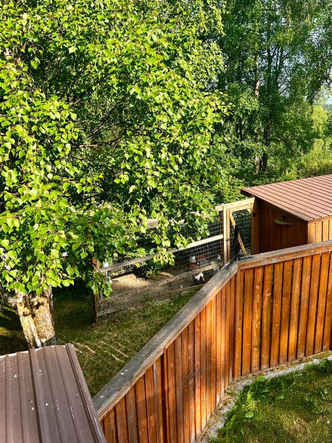 Indian Ak 25 Min To Anchorage & 25 Min To Girdwood Βίλα Εξωτερικό φωτογραφία