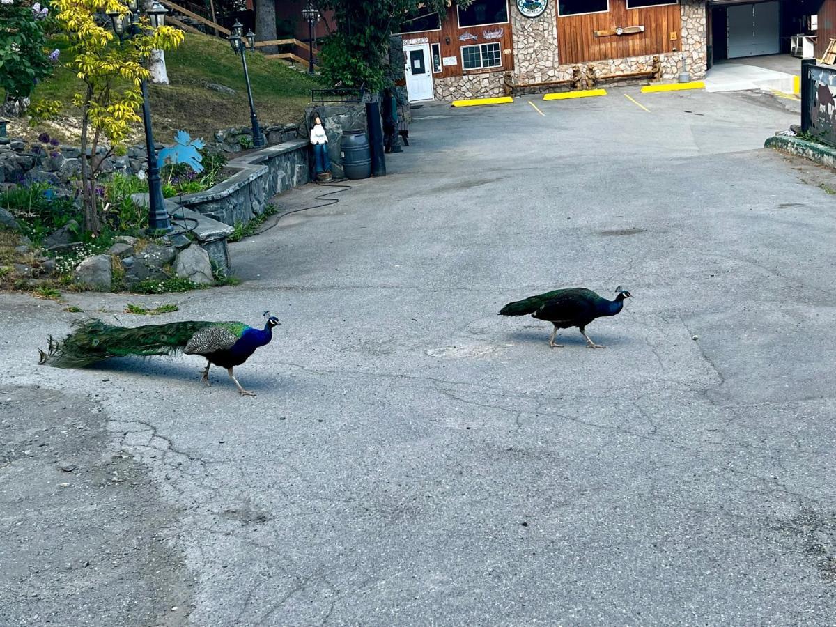 Indian Ak 25 Min To Anchorage & 25 Min To Girdwood Βίλα Εξωτερικό φωτογραφία