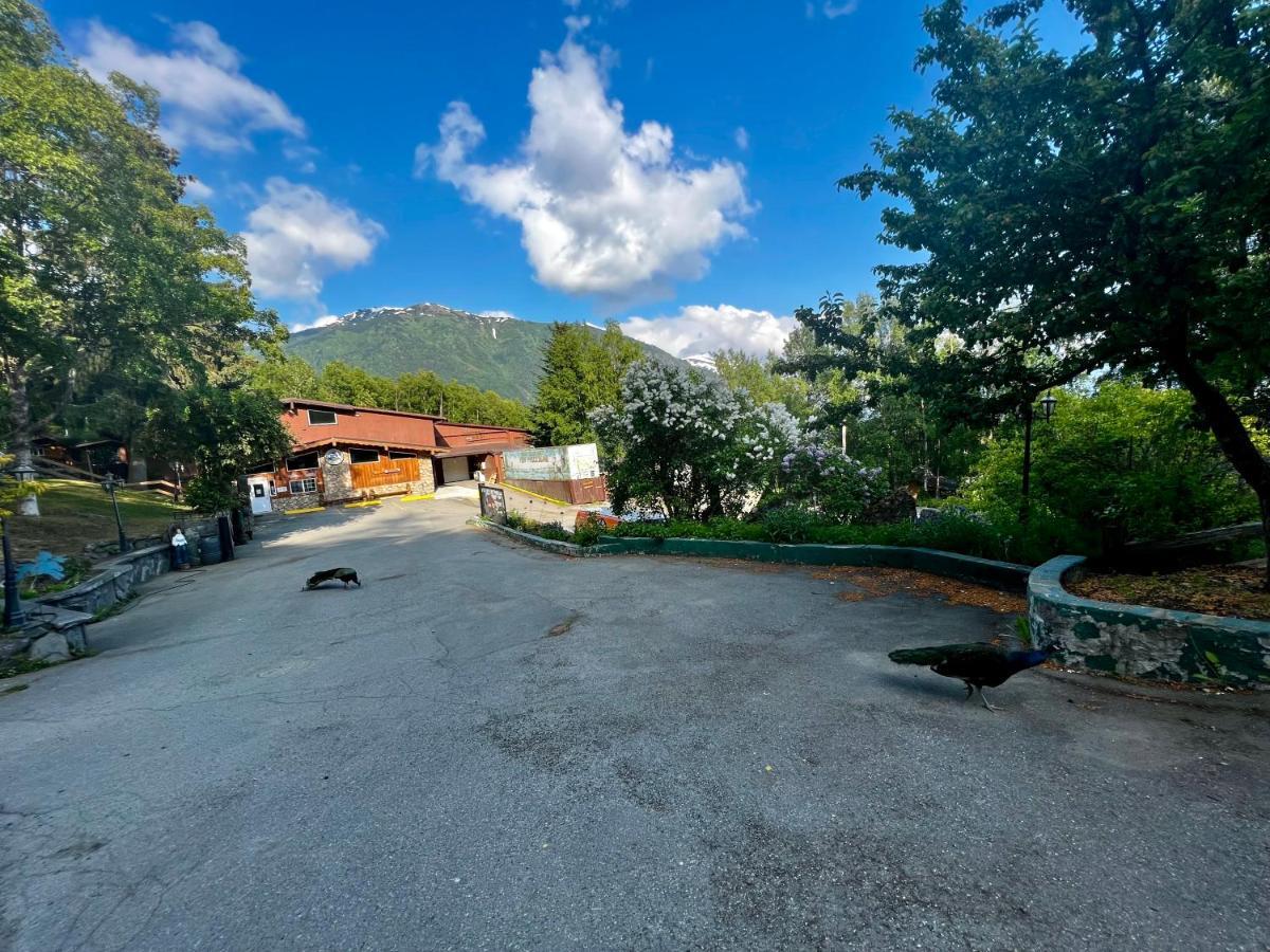 Indian Ak 25 Min To Anchorage & 25 Min To Girdwood Βίλα Εξωτερικό φωτογραφία