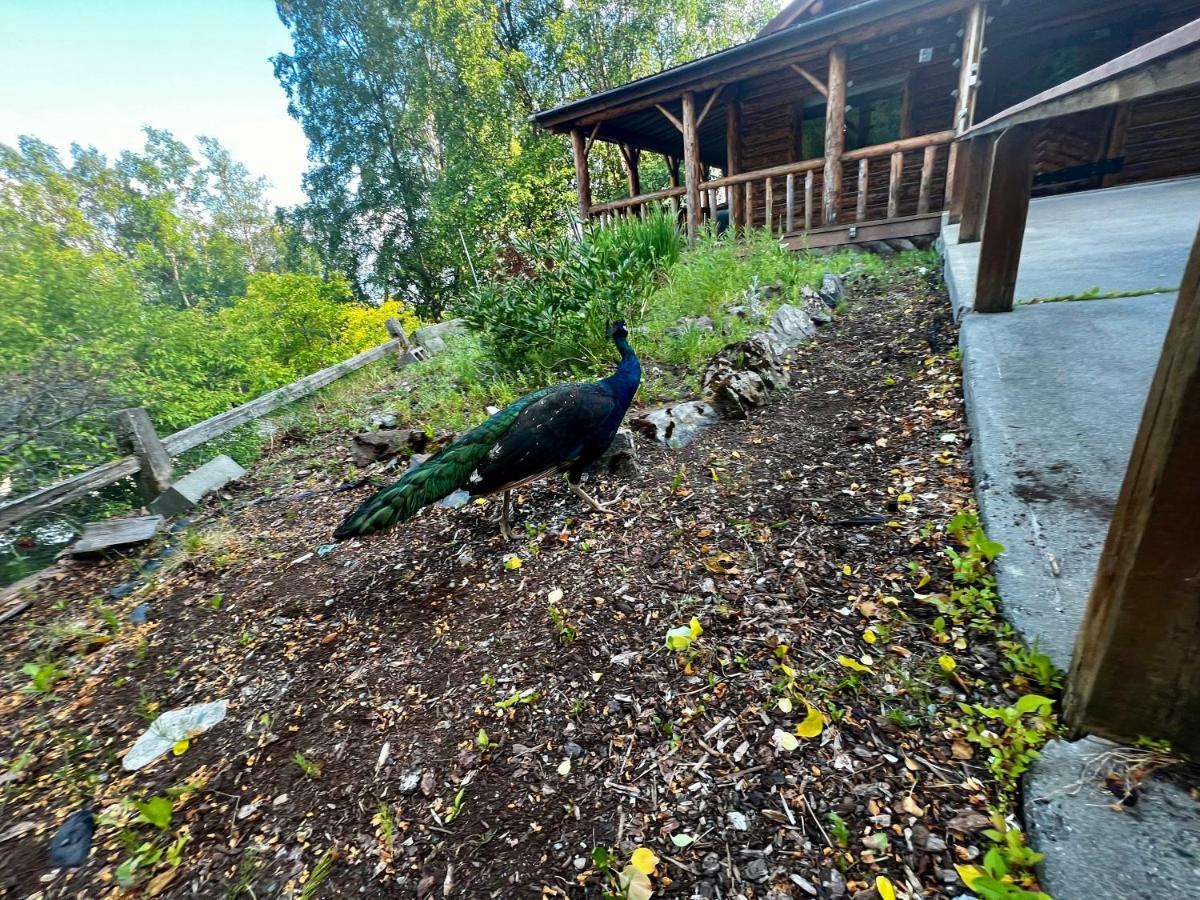 Indian Ak 25 Min To Anchorage & 25 Min To Girdwood Βίλα Εξωτερικό φωτογραφία